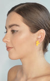 Citrus Seed Stud Earrings 